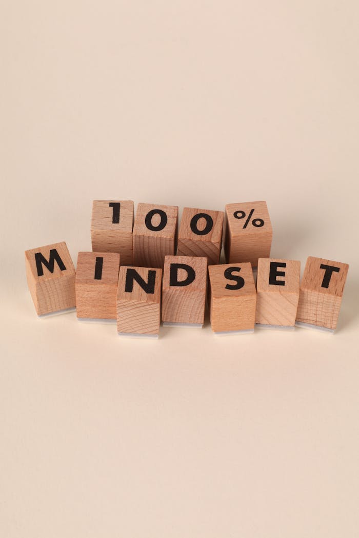 gallery-6 Wooden blocks spelling '100% MINDSET' symbolizing motivation and positive thinking.